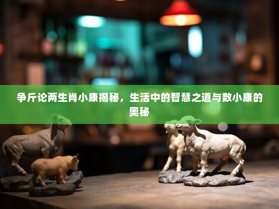 争斤论两生肖小康揭秘,生活中的智慧之道与数小康的奥秘 争斤论两生肖小康揭秘,生活中的智慧之道与数小康的奥秘