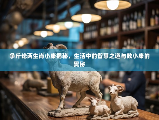 争斤论两生肖小康揭秘,生活中的智慧之道与数小康的奥秘 争斤论两生肖小康揭秘,生活中的智慧之道与数小康的奥秘