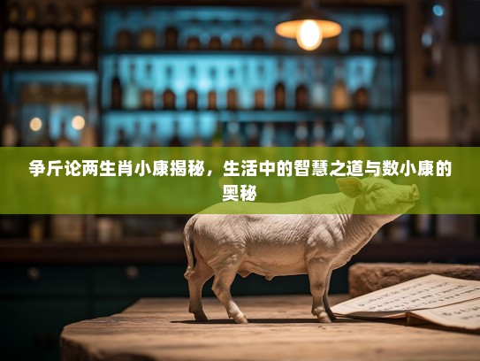 争斤论两生肖小康揭秘,生活中的智慧之道与数小康的奥秘 争斤论两生肖小康揭秘,生活中的智慧之道与数小康的奥秘
