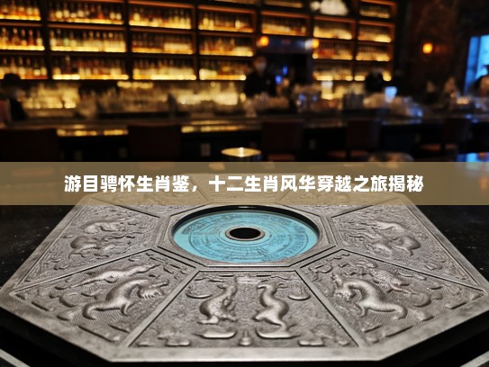 游目骋怀生肖鉴，十二生肖风华穿越之旅揭秘