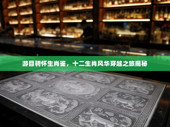 游目骋怀生肖鉴，十二生肖风华穿越之旅揭秘