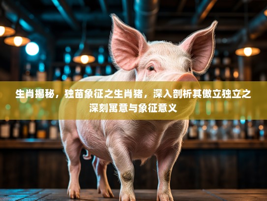生肖揭秘,独苗象征之生肖猪,深入剖析其傲立独立之深刻寓意与象征意义 生肖揭秘,独苗象征之生肖猪,深入剖析其傲立独立之深刻寓意与象征意义