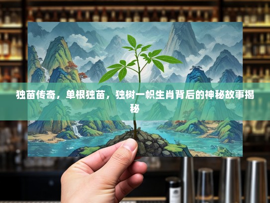 独苗传奇，单根独苗，独树一帜生肖背后的神秘故事揭秘