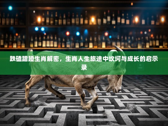 跌磕蹭蹬生肖解密，生肖人生旅途中坎坷与成长的启示录
