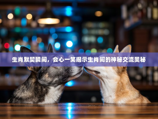 生肖默契瞬间，会心一笑揭示生肖间的神秘交流奥秘