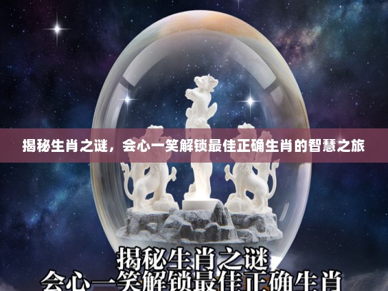 揭秘生肖之谜，会心一笑解锁最佳正确生肖的智慧之旅