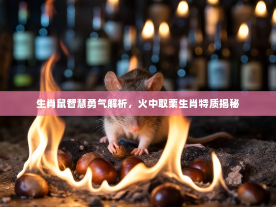 生肖鼠智慧勇气解析，火中取栗生肖特质揭秘