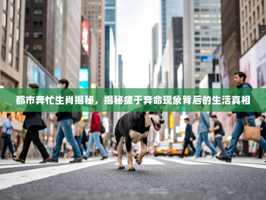 都市奔忙生肖揭秘,揭秘疲于奔命现象背后的生活真相 都市奔忙生肖揭秘,揭秘疲于奔命现象背后的生活真相