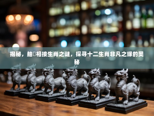 揭秘，舳舮相接生肖之谜，探寻十二生肖非凡之缘的奥秘