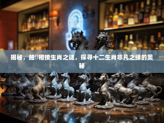 揭秘，舳舮相接生肖之谜，探寻十二生肖非凡之缘的奥秘