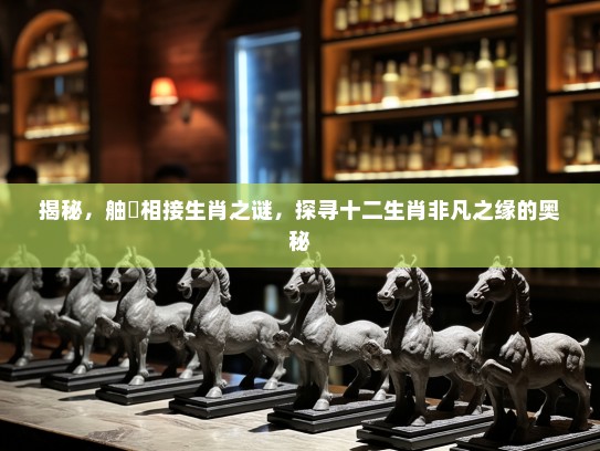 揭秘，舳舮相接生肖之谜，探寻十二生肖非凡之缘的奥秘