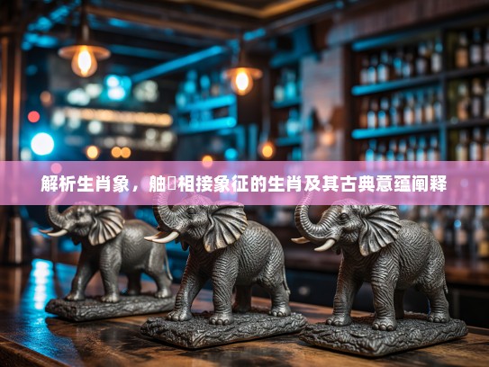 解析生肖象,舳舮相接象征的生肖及其古典意蕴阐释 解析生肖象,舳舮相接象征的生肖及其古典意蕴阐释