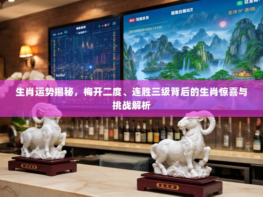 生肖运势揭秘，梅开二度、连胜三级背后的生肖惊喜与挑战解析