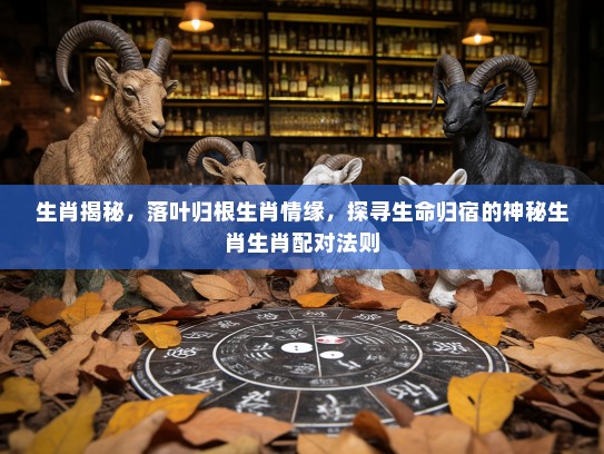 生肖揭秘，落叶归根生肖情缘，探寻生命归宿的神秘生肖生肖配对法则