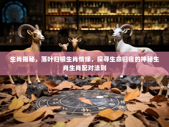 生肖揭秘，落叶归根生肖情缘，探寻生命归宿的神秘生肖生肖配对法则
