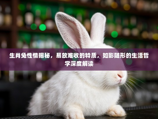 生肖兔性情揭秘，易放难收的特质，如影随形的生活哲学深度解读