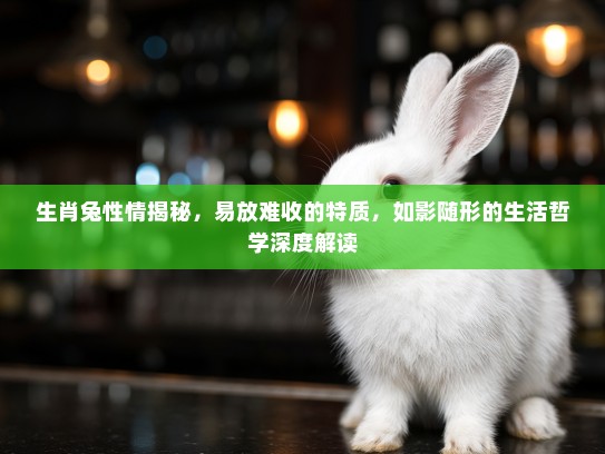 生肖兔性情揭秘，易放难收的特质，如影随形的生活哲学深度解读
