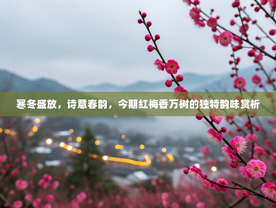 寒冬盛放，诗意春韵，今期红梅香万树的独特韵味赏析