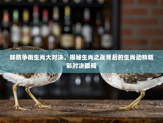 蚌鹬争衡生肖大对决,揭秘生肖之战背后的生肖动物精彩对决瞬间 蚌鹬争衡生肖大对决,揭秘生肖之战背后的生肖动物精彩对决瞬间