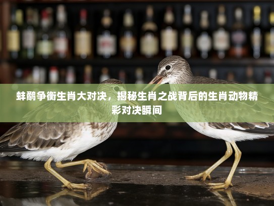 蚌鹬争衡生肖大对决,揭秘生肖之战背后的生肖动物精彩对决瞬间 蚌鹬争衡生肖大对决,揭秘生肖之战背后的生肖动物精彩对决瞬间