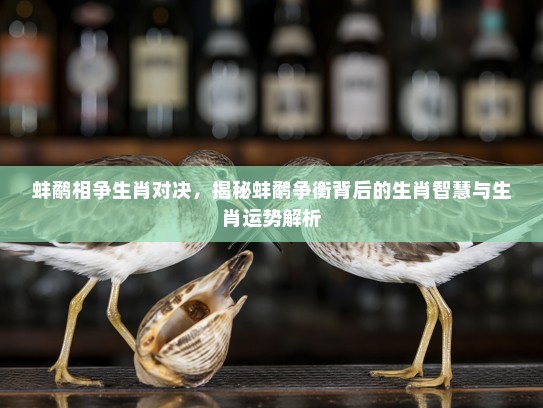 蚌鹬相争生肖对决，揭秘蚌鹬争衡背后的生肖智慧与生肖运势解析