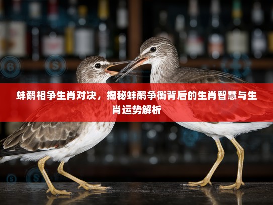 蚌鹬相争生肖对决，揭秘蚌鹬争衡背后的生肖智慧与生肖运势解析