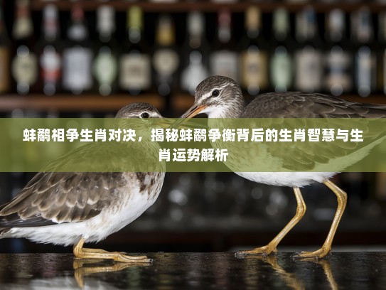 蚌鹬相争生肖对决，揭秘蚌鹬争衡背后的生肖智慧与生肖运势解析