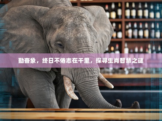 勤奋象,终日不倦志在千里,探寻生肖智慧之谜 勤奋象,终日不倦志在千里,探寻生肖智慧之谜