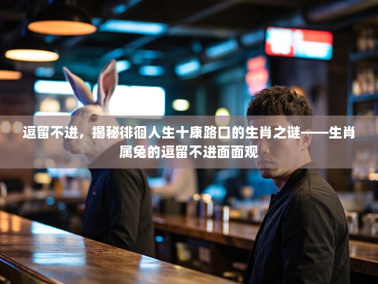 逗留不进,揭秘徘徊人生十康路口的生肖之谜——生肖属兔的逗留不进面面观 逗留不进,揭秘徘徊人生十康路口的生肖之谜——生肖属兔的逗留不进面面观