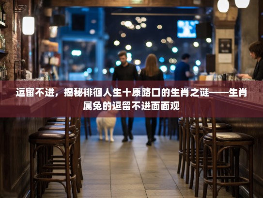 逗留不进,揭秘徘徊人生十康路口的生肖之谜——生肖属兔的逗留不进面面观 逗留不进,揭秘徘徊人生十康路口的生肖之谜——生肖属兔的逗留不进面面观