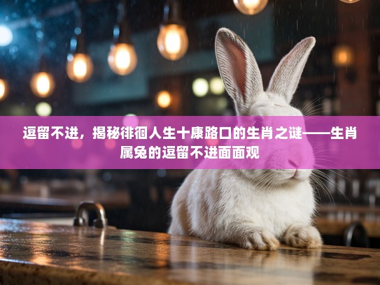 逗留不进,揭秘徘徊人生十康路口的生肖之谜——生肖属兔的逗留不进面面观 逗留不进,揭秘徘徊人生十康路口的生肖之谜——生肖属兔的逗留不进面面观