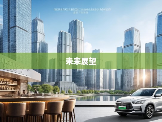 2025年新能源汽车补贴政策大变革,深度解析与未来展望解读 2025年新能源汽车补贴政策大变革,深度解析与未来展望解读