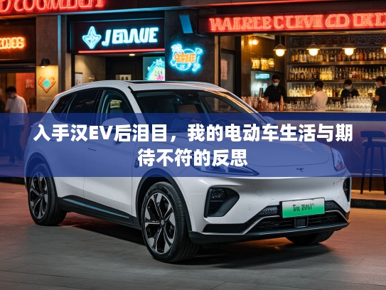 入手汉EV后泪目,我的电动车生活与期待不符的反思 入手汉EV后泪目,我的电动车生活与期待不符的反思