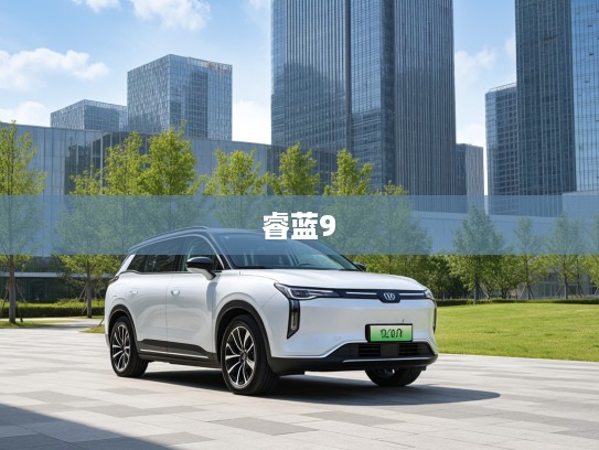 2025款睿蓝9新旗舰,睿蓝汽车绿色出行新风尚引领者评测 2025款睿蓝9新旗舰,睿蓝汽车绿色出行新风尚引领者评测