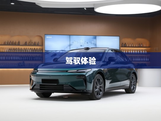 零跑B01新车评测,时尚智造引领生活新节奏,深度解析未来驾驭体验 零跑B01新车评测,时尚智造引领生活新节奏,深度解析未来驾驭体验