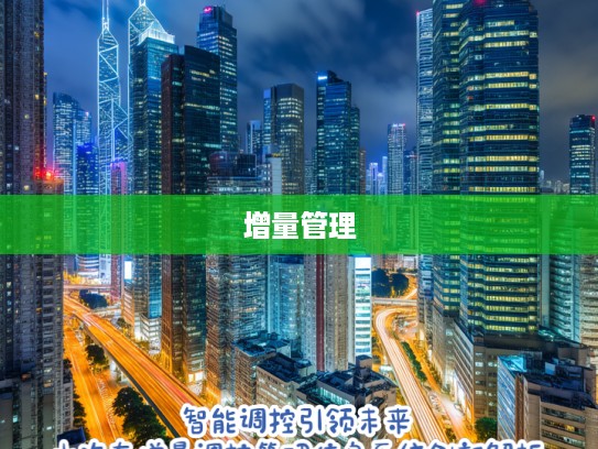 智能调控引领未来，小汽车增量调控管理信息系统创新解析