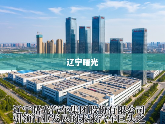 辽宁曙光汽车集团股份有限公司，引领行业发展的未来汽车巨头之路