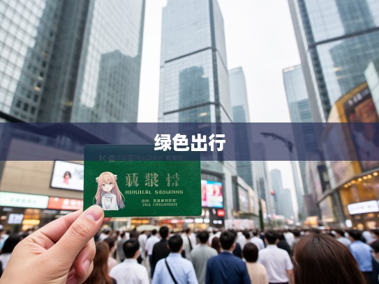 北京小汽车指标抢购热潮，繁华都市中的绿色出行梦想与机遇