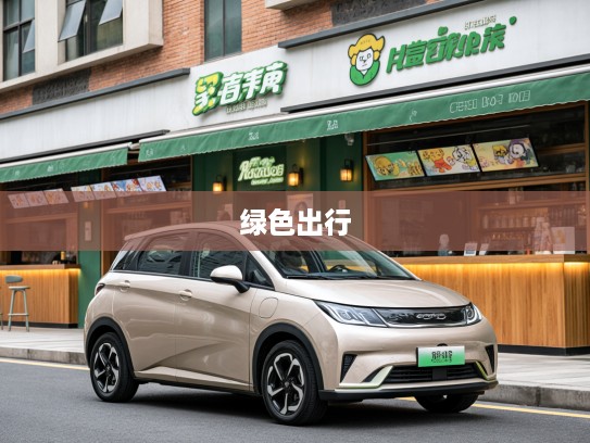 新海豚EV改款评测，绿色出行新宠，科技时尚两相宜体验解析