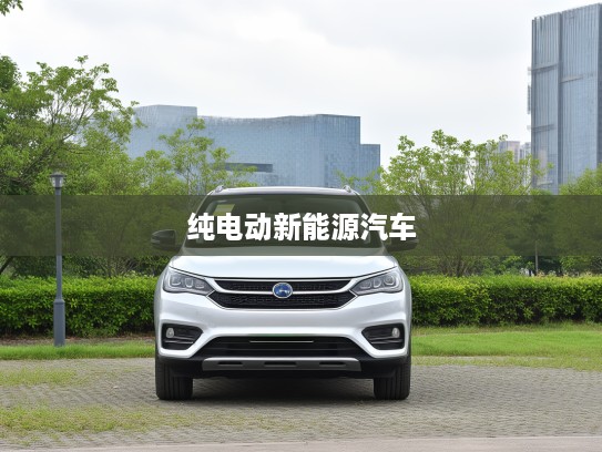 比亚迪纯电动新能源汽车引领绿色出行,开启环保生活新纪元攻略指南 比亚迪纯电动新能源汽车引领绿色出行,开启环保生活新纪元攻略指南