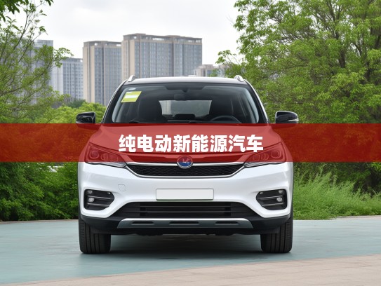 比亚迪纯电动新能源汽车引领绿色出行,开启环保生活新纪元攻略指南 比亚迪纯电动新能源汽车引领绿色出行,开启环保生活新纪元攻略指南