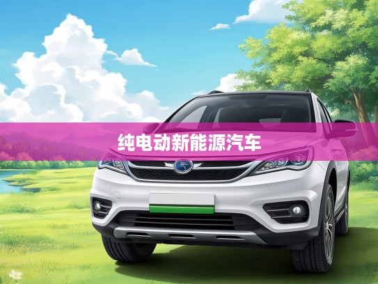 比亚迪纯电动新能源汽车引领绿色出行,开启环保生活新纪元攻略指南 比亚迪纯电动新能源汽车引领绿色出行,开启环保生活新纪元攻略指南