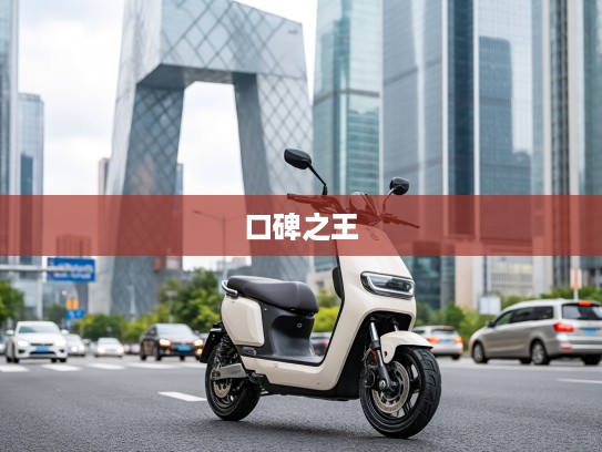 揭秘10万元预算口碑之王，10万左右颠覆想象的口碑最佳电动车推荐！