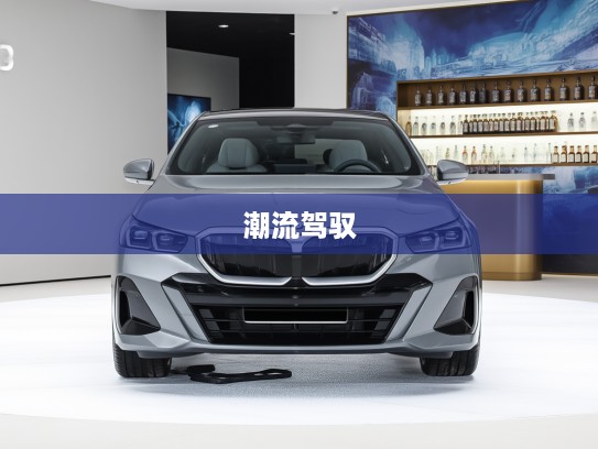 宝马i5 2025款 xDrive M60进口版评测,未来潮流驾驭者深度揭秘 宝马i5 2025款 xDrive M60进口版评测,未来潮流驾驭者深度揭秘
