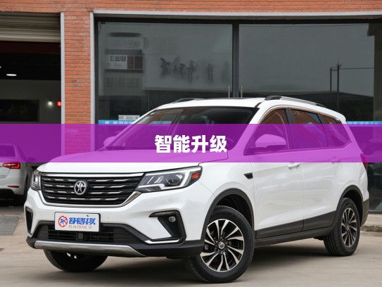 风行S60EV改款升级评测,电动出行新选,续航与智能化双重提升体验解析 风行S60EV改款升级评测,电动出行新选,续航与智能化双重提升体验解析