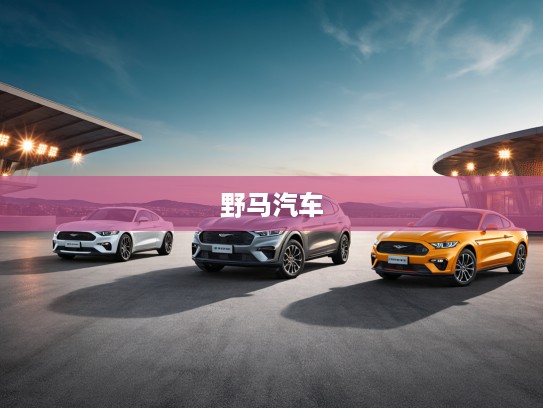 探秘野马汽车,全面报价解析及精美图片赏析,感受美式肌肉车独特魅力 探秘野马汽车,全面报价解析及精美图片赏析,感受美式肌肉车独特魅力