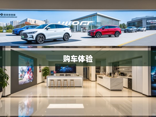 延吉比亚迪4S店深度揭秘，地址电话详览，购车服务体验优