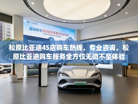 松原比亚迪4S店购车热线,专业咨询,松原比亚迪购车服务全方位无微不至体验 松原比亚迪4S店购车热线,专业咨询,松原比亚迪购车服务全方位无微不至体验