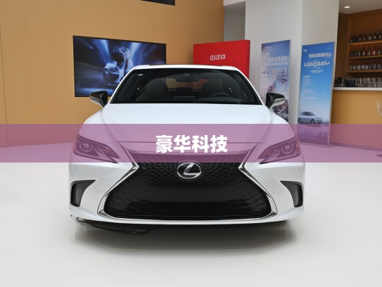 雷克萨斯ES 2025款深度评测,豪华座驾科技之旅,体验未来豪华新境界 雷克萨斯ES 2025款深度评测,豪华座驾科技之旅,体验未来豪华新境界