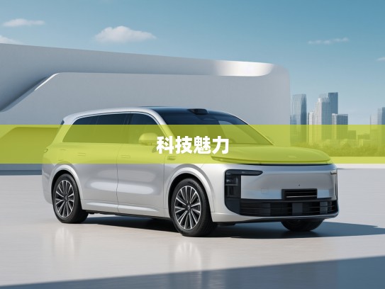 全面剖析理想i8首辆新车型—深入评测梦想之车的科技魅力及未来发展